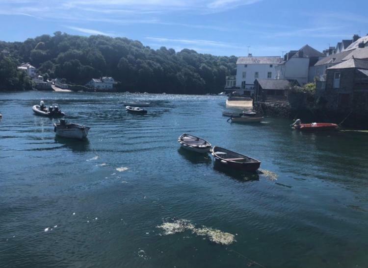 Fowey Landing Lägenhet Exteriör bild